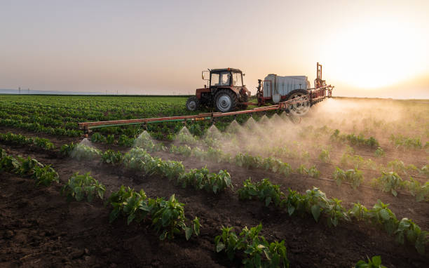 Best Insect Control  in Monroe, IA