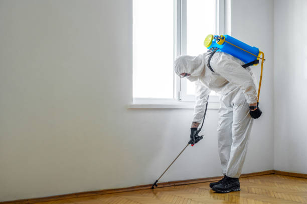 Best Termite Control Services  in Monroe, IA